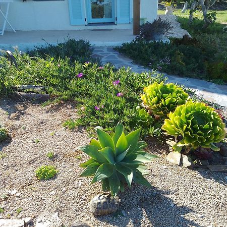 Lispusada Agriturismo Adults Only Biancareddu Ngoại thất bức ảnh