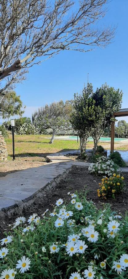 Lispusada Agriturismo Adults Only Biancareddu Ngoại thất bức ảnh