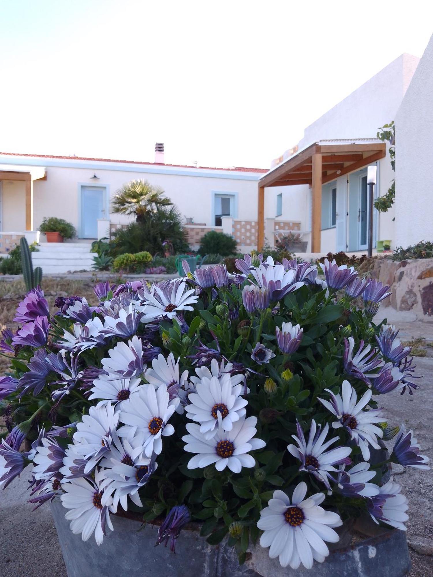 Lispusada Agriturismo Adults Only Biancareddu Ngoại thất bức ảnh
