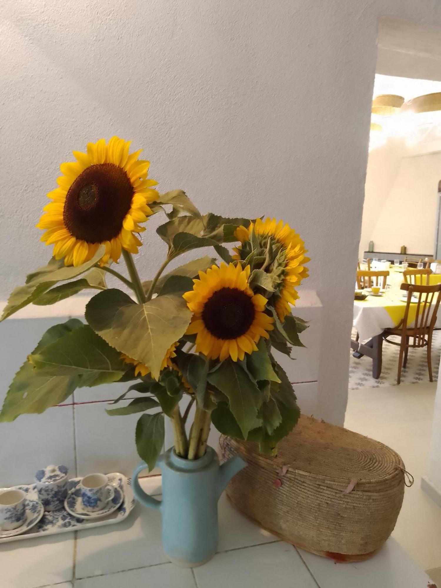 Lispusada Agriturismo Adults Only Biancareddu Ngoại thất bức ảnh