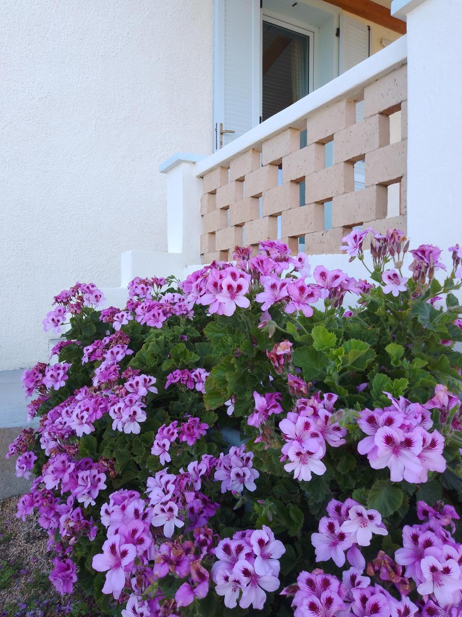 Lispusada Agriturismo Adults Only Biancareddu Ngoại thất bức ảnh