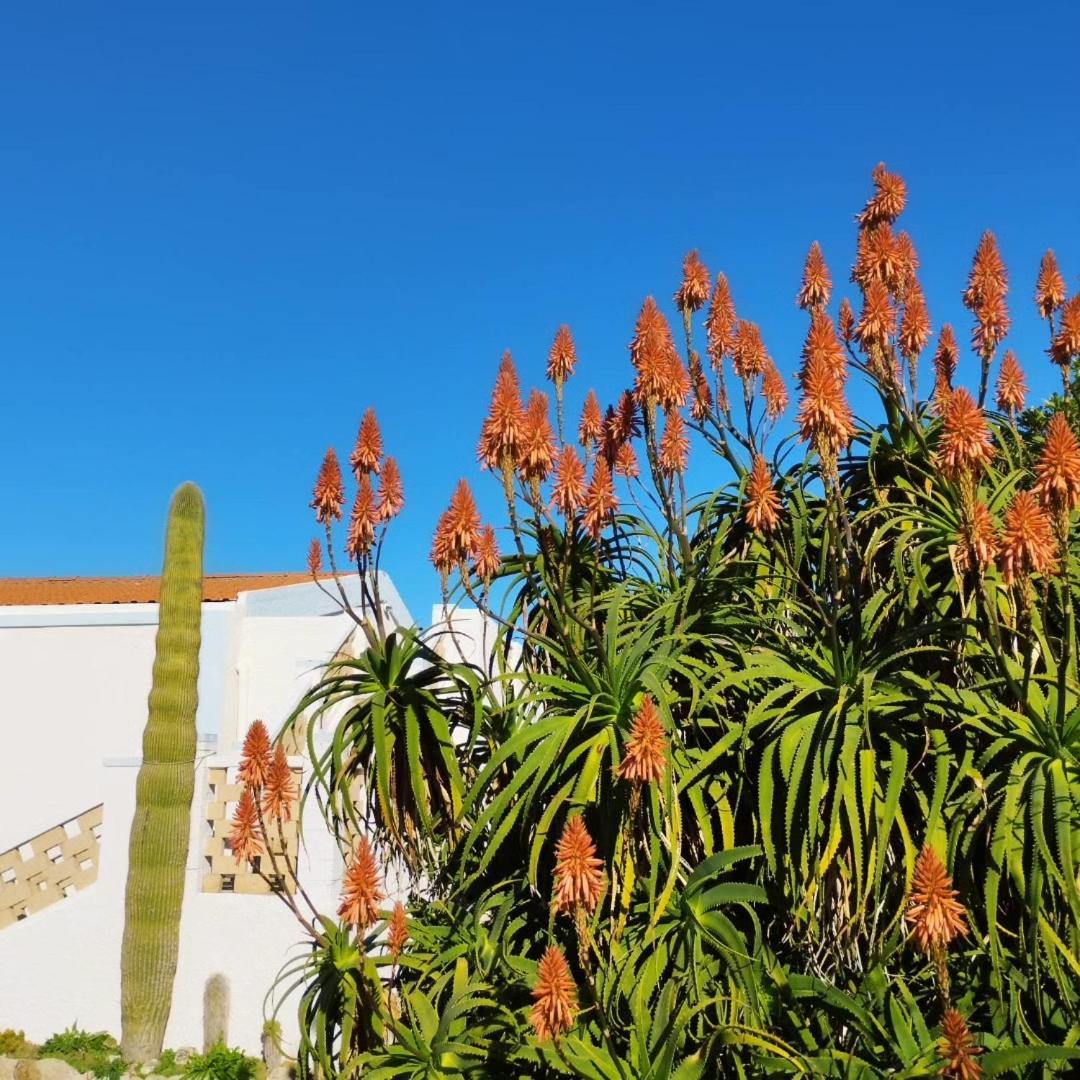 Lispusada Agriturismo Adults Only Biancareddu Ngoại thất bức ảnh